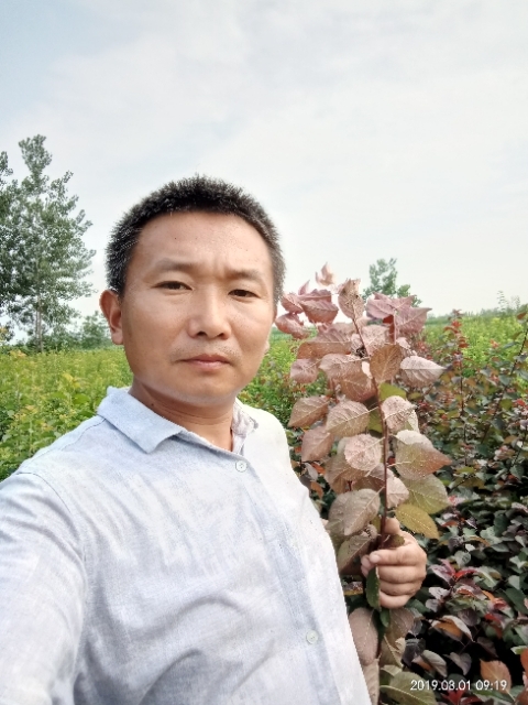 孩子爸的第二张照片--宿迁相亲服务中心